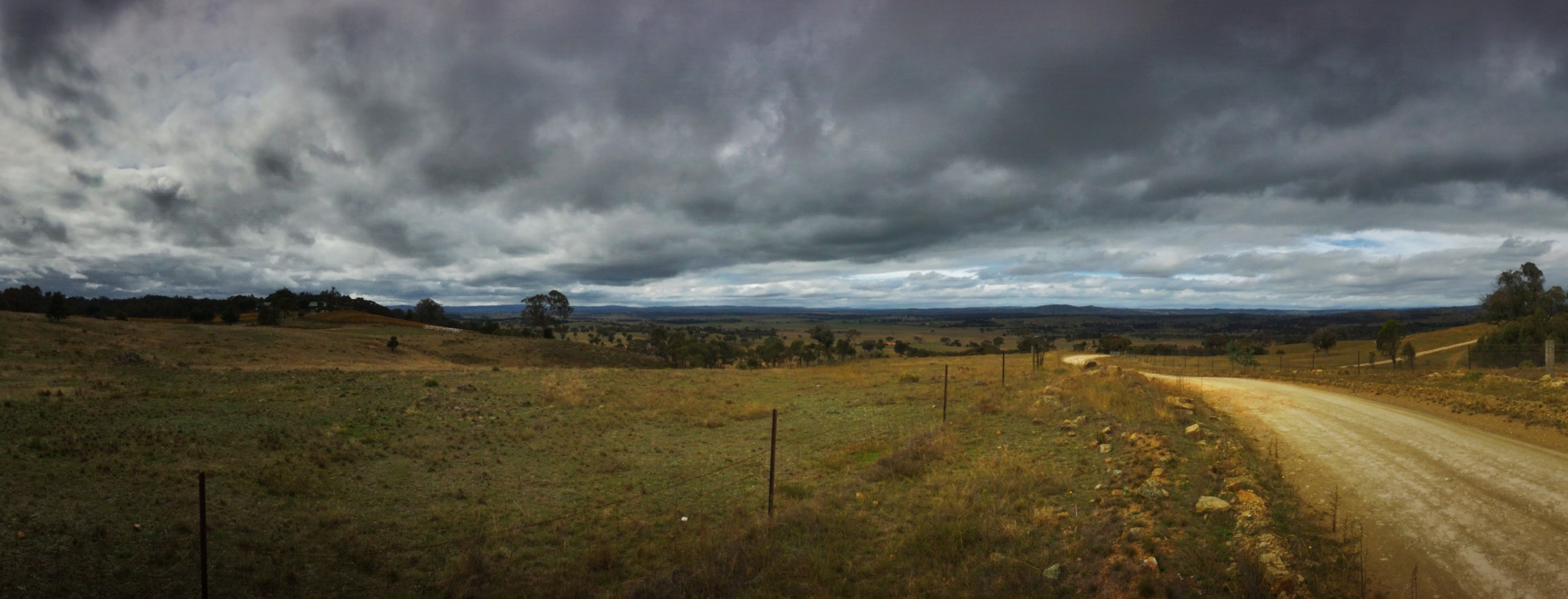 View from Di Bartolo Vineyard Estate